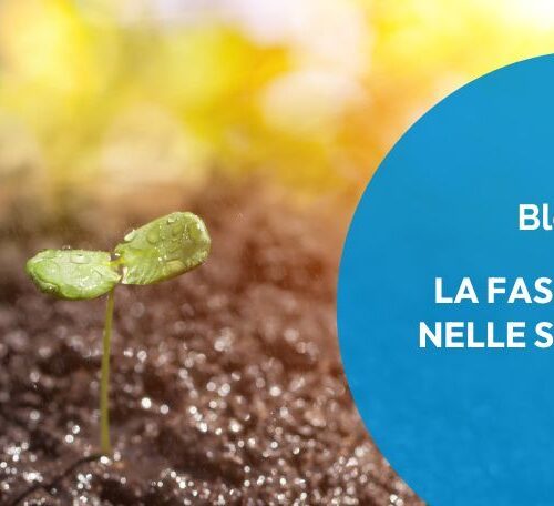 Un piccolo germoglio cresce nel terreno, metafora del seed round e dello sviluppo di una startup.